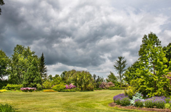 Картинка природа парк сад облака трава небо зелень газон цветы деревья