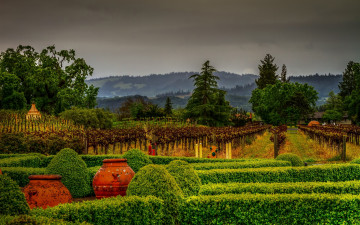 Картинка природа парк кусты сша калифорния сад