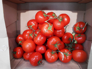 Картинка еда помидоры томаты