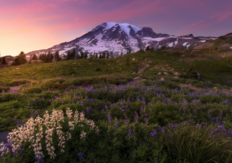 Картинка природа горы простор