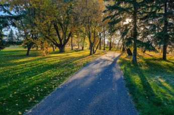 Картинка природа дороги простор