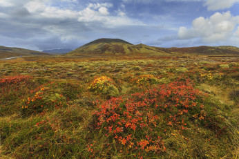 Картинка природа луга простор