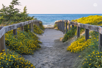 Картинка природа побережье простор