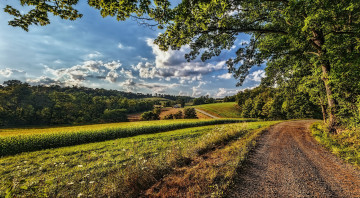 Картинка природа дороги простор