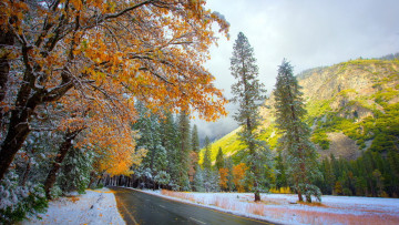 Картинка природа дороги дорога горы деревья