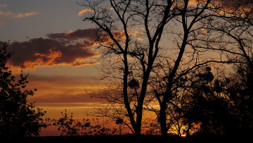 Картинка природа восходы закаты простор