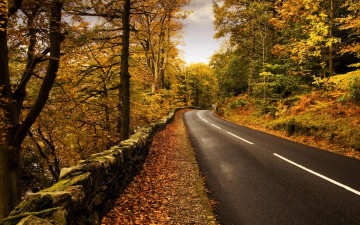 Картинка природа дороги осень лес дорога