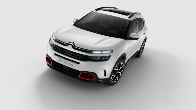 Обои картинки фото автомобили, citroen, ds
