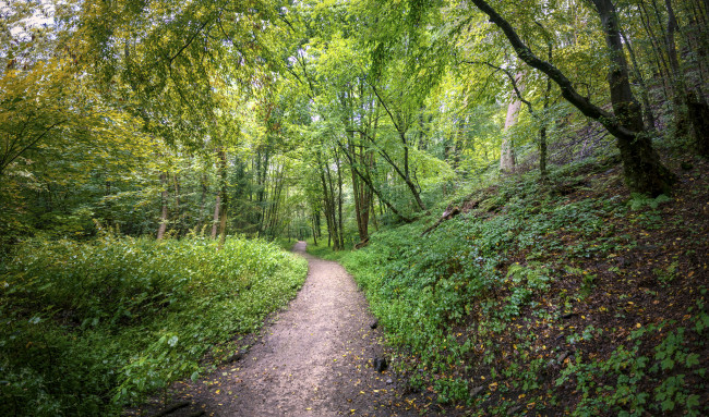 Обои картинки фото природа, дороги, простор