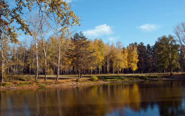 Обои картинки фото природа, реки, озера, лес, озеро