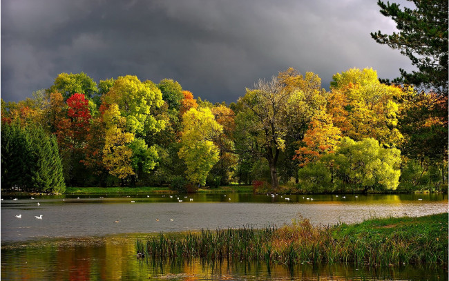 Обои картинки фото природа, реки, озера, озеро, лес