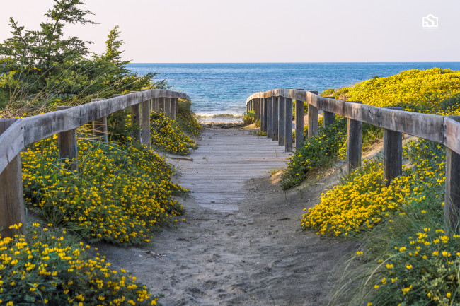 Обои картинки фото природа, побережье, простор