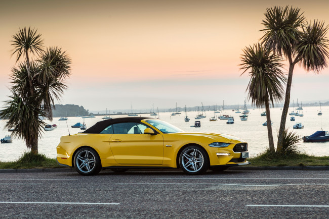 Обои картинки фото автомобили, mustang, ford