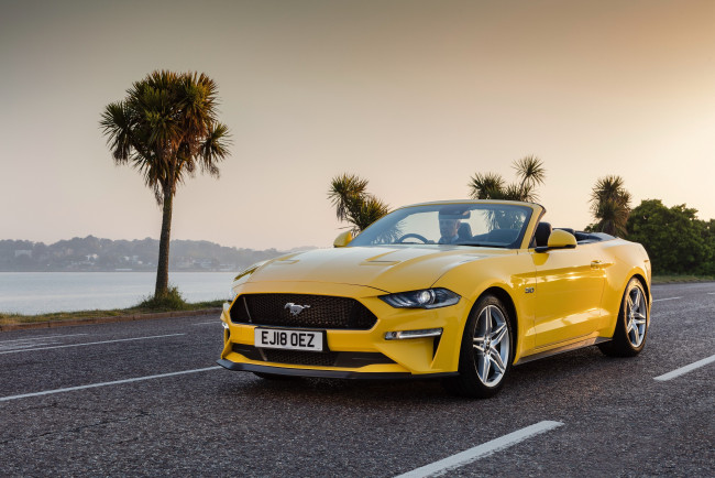 Обои картинки фото автомобили, mustang, ford