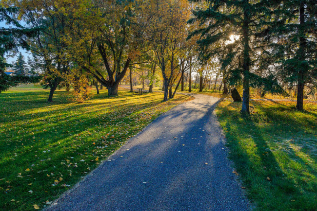 Обои картинки фото природа, дороги, простор