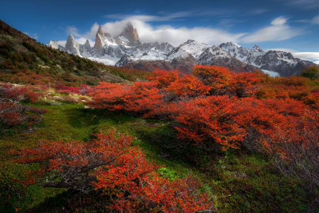 Обои картинки фото природа, луга, простор