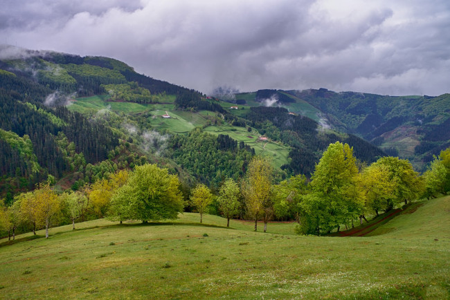 Обои картинки фото природа, пейзажи, простор