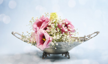 Картинка цветы разные+вместе эустома