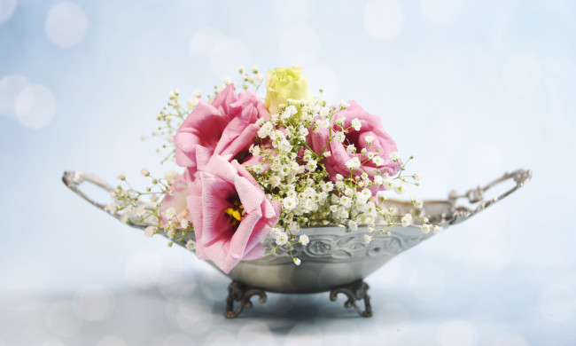 Обои картинки фото цветы, разные вместе, эустома