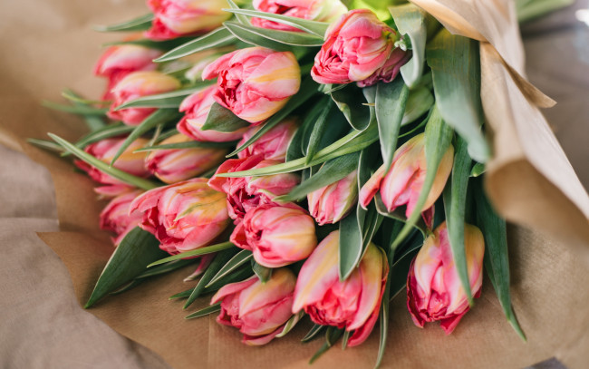 Обои картинки фото цветы, тюльпаны, букет