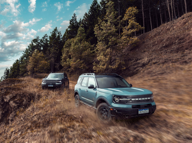 Обои картинки фото автомобили, ford