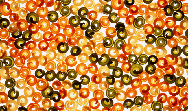 Обои картинки фото разное, кости,  рентген, макароны, рентген