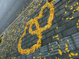 Картинка праздничные день+святого+валентина +сердечки +любовь сердечки