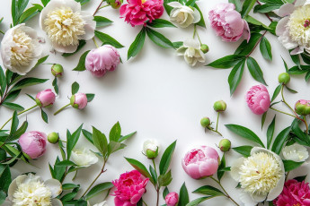 Картинка 3д+графика цветы+ flowers пионы