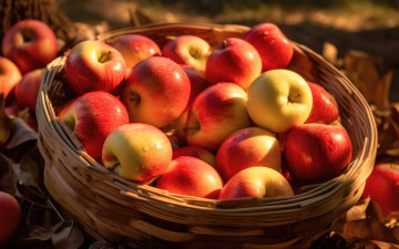 Картинка 3д+графика еда- food яблоки