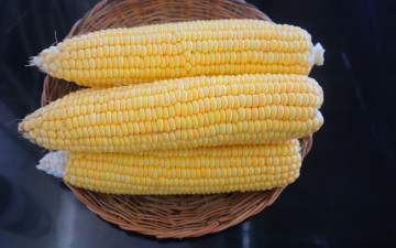 обоя еда, кукуруза, початки