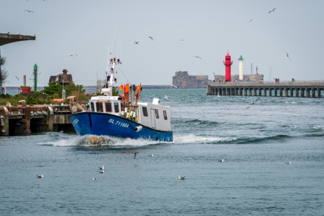 Обои картинки фото корабли, траулеры,  сейнеры,  плавбазы, рыболовное, судно