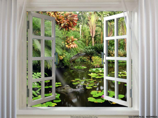 Обои картинки фото 