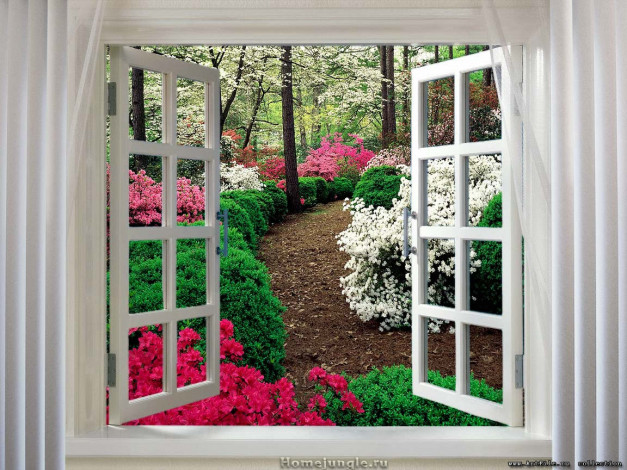 Обои картинки фото 