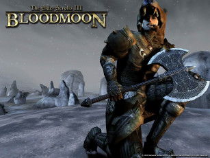 обоя the, elder, scrolls, iii, bloodmoon, видео, игры