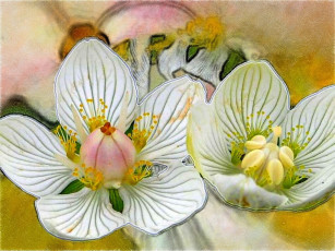 Картинка рисованные цветы