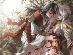 Картинка аниме weapon blood technology