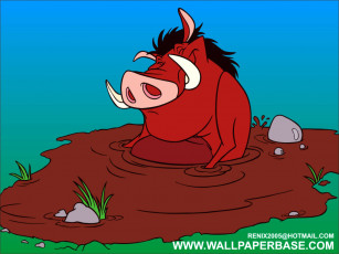 Картинка мультфильмы the lion king