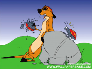 Картинка мультфильмы the lion king