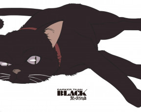 Картинка аниме darker than black