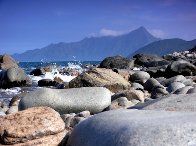 Обои картинки фото 