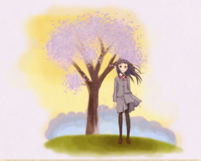 обоя аниме, asagiri, no, miko