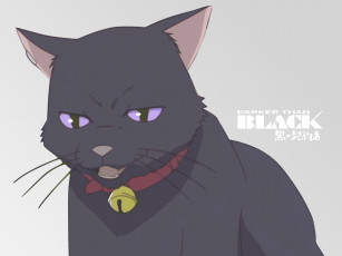 Картинка аниме darker than black