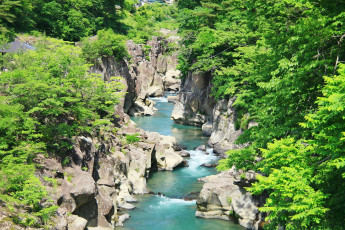 Картинка природа реки озера вода камни лес