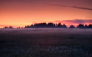 Картинка природа луга