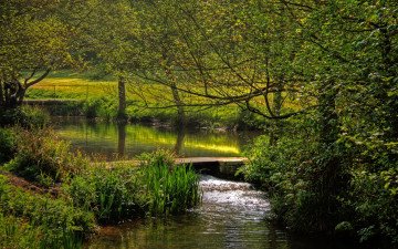 Картинка природа реки озера