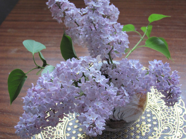 Обои картинки фото цветы, сирень, салфетка, ветки, вазочка