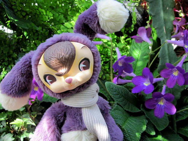 Обои картинки фото разное, игрушки, мохнатый, милый, лиловый, уши