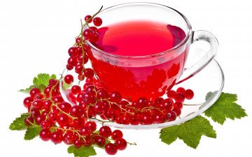 Картинка еда напитки Чай белый фон currant красная смородина tea чай