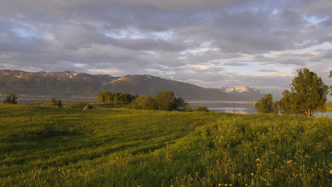 Обои картинки фото природа, луга, луг, горы, облака