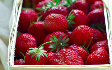 Картинка еда клубника земляника ягоды